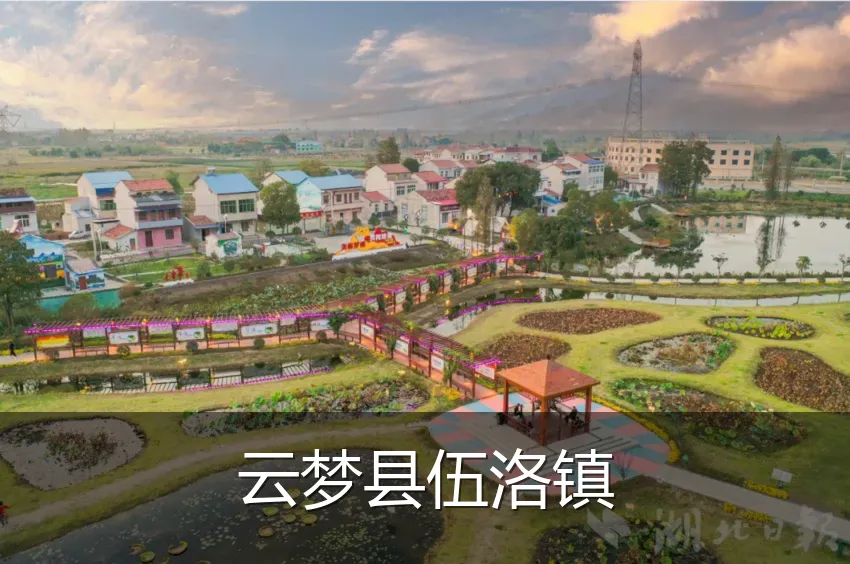 云梦县伍洛镇