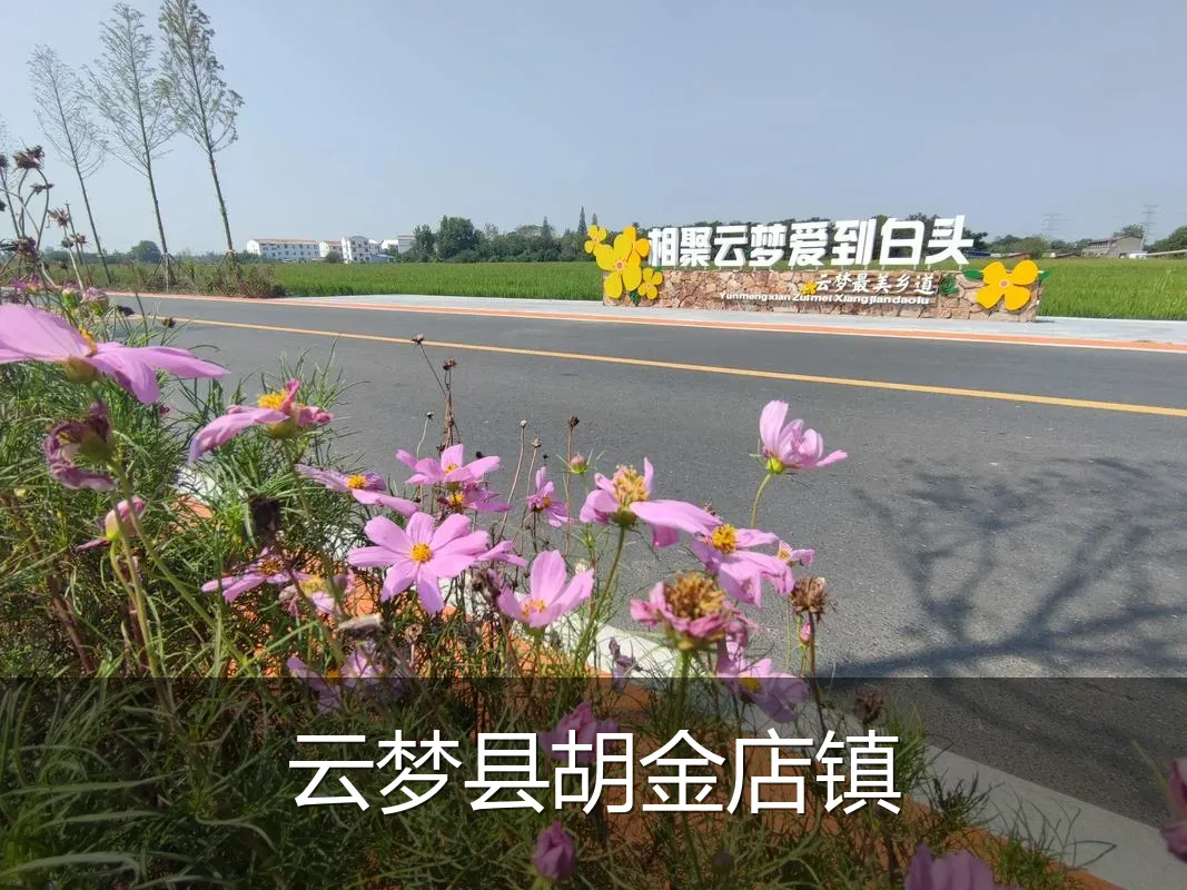 云梦县胡金店镇